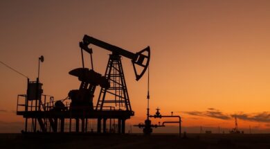 Oman warns of $200 oil in dig at energy agency