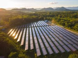 Chinese solar firm Longi eyes potential Saudi factory sites