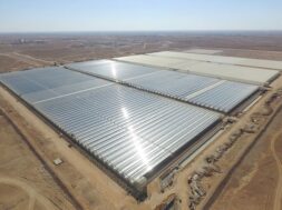 Oman’s 1-GW Manah solar parks to go online by Q4 2024 – report