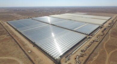 Oman’s 1-GW Manah solar parks to go online by Q4 2024 – report