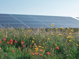 Better Energy inks 250GWh solar power play