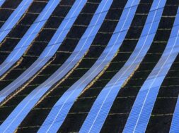 Jinko Power makes winning bid for 300-MW Saudi solar project