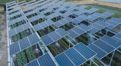 Launching East Africa’s first combined solar energy and agriculture system