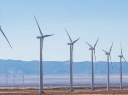 EGYPT Saudi Acwa Power in pole position for 1.1 GW wind megaproject