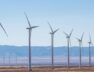 EGYPT Saudi Acwa Power in pole position for 1.1 GW wind megaproject