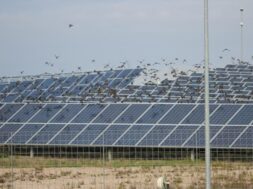 FRV begins power generation at 115-MW solar park in NSW