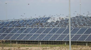 FRV begins power generation at 115-MW solar park in NSW