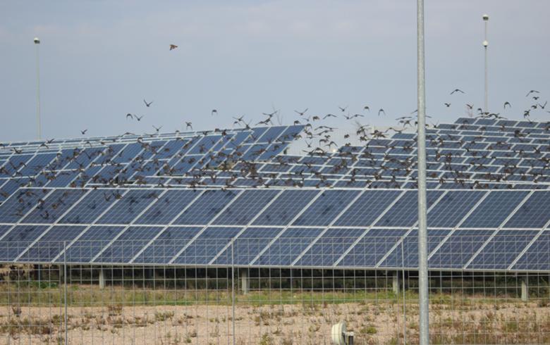 Iraq awards 2 solar power projects to Chinese firms – EQ Mag Pro