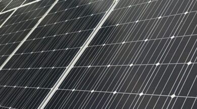 Longi to deliver 406 MW of solar modules for Saudi tourism project