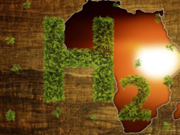Africa is aligned to take a 10th of the global green hydrogen market