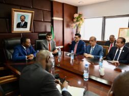 UAE and Cameroon explore opportunities in renewable energy and infrastructure