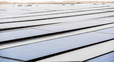 UAE’s EWEC announces over 60% of total power demand delivered from renewable energy sources