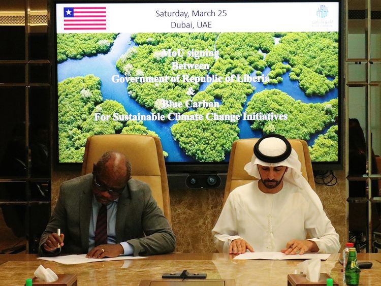 Blue Carbon and the Government of Liberia ink strategic MoU to develop new approach to Blue Carbon projects in the country – EQ Mag