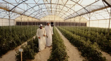 UAE’s ADQ fund powers world’s first solar desalination plant for agriculture