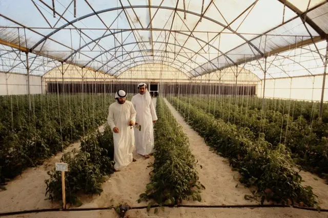 UAE’s ADQ fund powers world’s first solar desalination plant for agriculture – EQ Mag