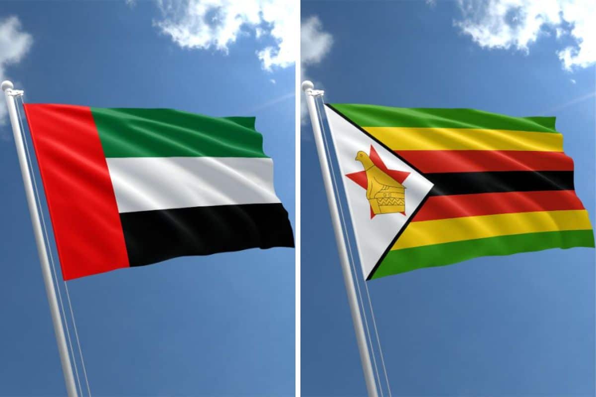 UAE and Zimbabwe trade hits $2bn, further economic ties sought